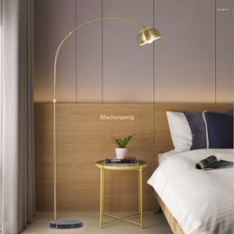 Floor Lamps Modern Electroplating Adjustable Bedroom Nordic Night Gold Tall Living Room Lampe De Chevet Home Decorations