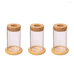 Vases Water Grow Vase Tabletop Plant Terrarium Propagation Station 3 Pieces High Quality Glass With Lid Home Desk Decor