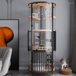 Cat Carriers Round Cage Villa 360 Panoramic Display High Transparent Glass Luxury Nest With Toilet Solid Wood House