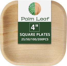 Disposable Flatware 25/50/100/200Pcs Palm Leaf Plates 4/6/8 Inch Bamboo Plates Disposable Small Square Party Plates Eco-Friendly Compostable Plates 230918