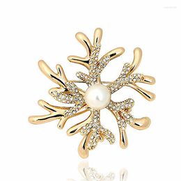 Brooches Utei Jewellery Elegant Women Coral Flower Brooch Fantastic Crystal Alloy Broach Pin For Wedding