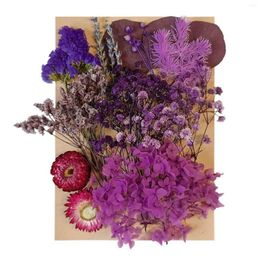 Decorative Flowers Gift Everlasting Home Decor Epoxy Resin DIY Craft Reusable Scrapbooking Artificial Flower Dry Plant Jewellery Making Nail