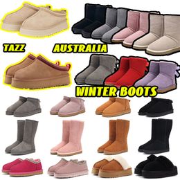 Pantofole firmate Uomo Donna Tasman Tazz Stivaletti invernali con plateau da donna Lis Snow Boot E Stivali Mini Black Z Chesut Botties LI