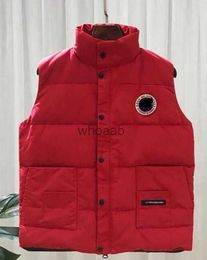 Vests winter down vest classic casual warmth white goosedown gilet coat fashion veste for man and 7 Colour plus size m-2xl HKD230918