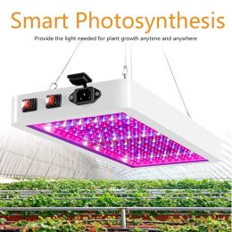 LED Grow Light 2000W 3000W Double Switch Phytolamp Waterproof Chip Growth Lamp Full Spectrum Plant Box Lighting Indoor 23 LL