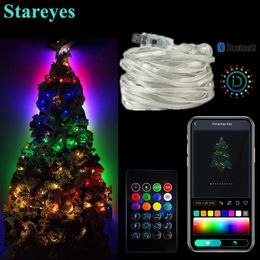 Christmas Decorations Smart WS2812B IC USB DC5V RGB 5m 10m LED String Light Bluetooth APP IR remote Magic Colour Warm white DIY Display Christmas Decor 230918