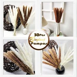 Decorative Flowers 30 Pcs Grass Pampas Dried Flower Immortal Bouquet DIY Po Pography Home Decoration Small Reeds