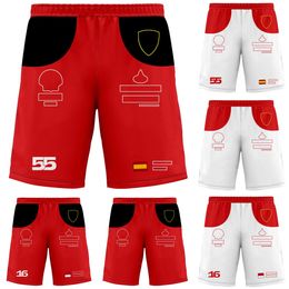 2023 New F1 Racing Shorts Formula 1 No 16 No 55 Driver Shorts Summer Men's Breathable Beach Shorts Team Fans Men Short Pants