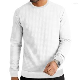 Men's Hoodies Foreign Trade Loose Round Neck Sweater Small Chequered Cotton T Versatile Casual Bottom Knitwear In Stock