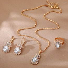 Pendant Necklaces Luxury Fashion Fine Oval Claw Chain Set Crystal Necklace Earrings Ring Wholesale Three-piece Wedding Jewellery