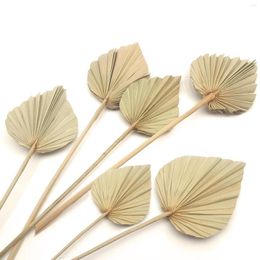 Decorative Flowers 6pcs Boho Dried Palm Leaves Small Palms Plant Spears Fans For Home Office Wall Decor Tropical Wedding Party Table Decorat