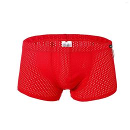 Underpants Sexy Breathable Thin Boxer Black Men Mesh Transparent See Through U-convex Mens Underwear Shorts Wholesale 2023