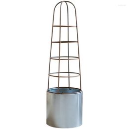 Vases Iron Lattice Flower Stand Chinese Rose Clematis Cylindrical Bracket Garden Plant Pot Climbing Frame