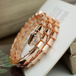 Women Jewelry Bangle Double Loop Snake Shaped Designer Exquisite and Delicate Line Design Copper Inlaid Water Diamond Lady Bracelet