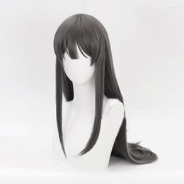 Hair Clips Rascal Does Not Dream Of Girl Senpai Sakurajima Mai Cosplay Wig Synthetic Long Straight Gray Wigs Cap