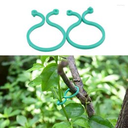 Garden Supplies 50/100 Pcs Plant Holder Trellis Clip Garter Plants For Vine Vegetable Tomato Growing Upright Stand