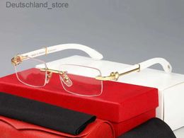 Sunglasses Man Carti Glasses Designer Women Fashion Frameless Rectangle Coating Buffalo Horn Sunglass UV400 Evidence Eyeglass Q230919