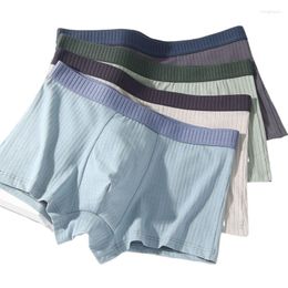 Underpants Men's Panties 4pcs/lot Fashion Cotton Underwear Boxers Men Brand Size L To 4XL