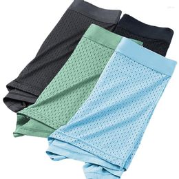 Underpants Men's Underwear Mesh Breathable Air Conditioning Pants Ice Silk Flat Angle Quick Drying Shorts And