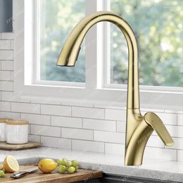 Kitchen Faucets Faucet Hidden Pull-out Dual Function Sprinkler Design Single Handle Cold And Water Sink