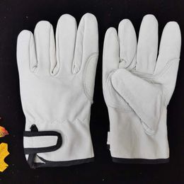 Five Fingers Gloves Korean Version Driver Gloves Outdoor Soft Sheepskin Leather Durable Wear-resistant Welding Labour Insurance Gloves 230818