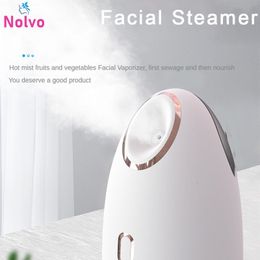Steamer Warm Mist Steam Sauna Beauty Steam Cleaner Nebulizer Face Humidifier Nebulizer Face Steamer Beauty Instrument 230918