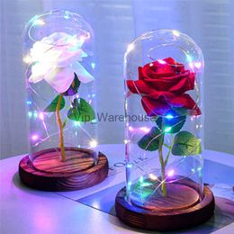 LED Strings Party Valentines Day Gift for Girlfriend Eternal Rose LED Light In Glass Cover Rustic Wedding Party Decoration Holiday Bedroom Decor HKD230919