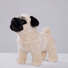 Plush Dolls Soft Cute Shar Pei Plush Toy Dog Pug Animal Stuffed Doll Bulldog Kawaii Pekingese Baby Birthday Gift for Kid Girls Drop 230919