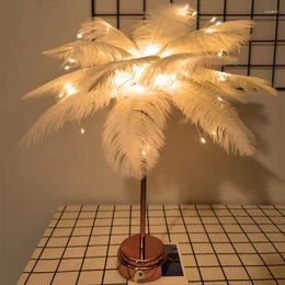 Night Lights Bedroom Decoration Feather Light LED Battery Box USB Dual-use Creative Gift Room Atmosphere