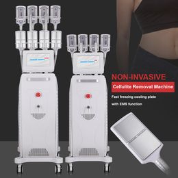 OED/OEM Ems Body Slimming RF Skin Tightening Muscle Gain Fat Decomposing Beauty Salon 8 Cryo Plates Skin Smoothing Vertical Figure Trainer