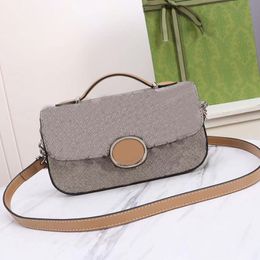 Mini Baguette Bag Designer Purse Top Handle Tote Bag Crossbody Clutch Bag Shoulder Bag Handbag Canvas Leather Palladium Hardware Suede Ultra-Fine Fiber Lining Pouch