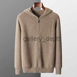 Men's Sweaters Men's Hooded Cardigan Autumn and Winter Thickened Knit Large-size Jacket 100% Merino Wool Casual Long Sleeved Sportswear Coat J230920
