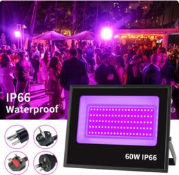 UV LED Black Light Floodlights High Power 30W 60W LED BlackLight Flood Light IP66 Waterprooffor Halloween Party Neon Glow