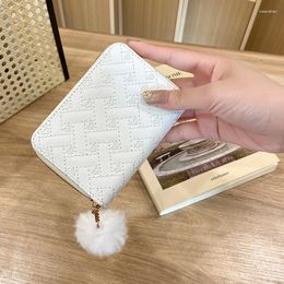 Wallets 2023 Wallet Women's Short Furball Summer And Autumn Multiple Card Slots Large Capacity Hand-held Small Trend