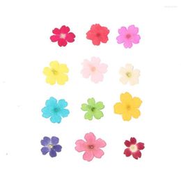 Decorative Flowers 60pcs 1-2cm Pressed Dried Dyed Verbena Flower Plant Herbarium For Jewellery Po Frame Phone Case Bookmark Postcard Craft DIY