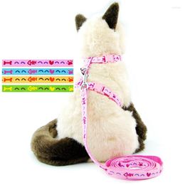 Cat Collars Dog Collar Harness Leash Traction Rope Chest Strap Pets Safe Gentle Leader Come With Me Kitten Heart Drop