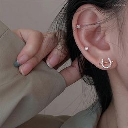 Stud Earrings 925 Silver Needle Zircon For Women Elegant Wedding Gifts Fashion Jewellery Brincos Eh157