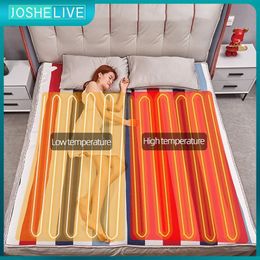 Blanket Home Security Intelligent 9-gear Heated Blanket 110v/230v Thicked Electric Adjustable Timing Power Off Thermal 230920