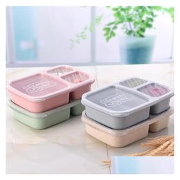 Lunch Boxes Bags Box 3 Grid Wheat St Bento Bagsradable Transparent Lid Food Container For Work Portable Student Boxes Containers Sn4 Dhtmm