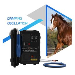 PEMF Equine PMST Loop Magnetic Feild Therapy Horse Health Physiotherapy Machine