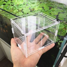 Reptile Supplies transparent acrylic box Terrarium for reptile and amphibian cricket Turtle Spider snail Glass shelter terarium terraria gecko 230920