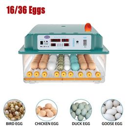 Reptile Supplies Incubator Egg Fully Automatic Brooder Hatchery Machine Turner Home Controller Farm Chickens Bird 230920