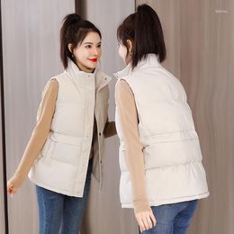 Women's Vests 2023 Autumn Winter Women Solid Loose Vest Stand Collar Long Jacket Cotton Padded Windproof Warm Waistcoat Beige