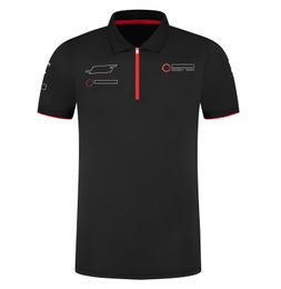 Best-selling F1 Formula One racing clothes team work clothes short sleeve T-shirt men's customization