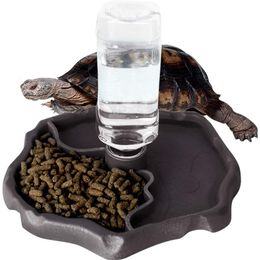 Reptile Supplies Feeders Waterer Automaticrefilling Turtle Water Dispenser Bottle Tortoise Food Bowl Feeding Dish for Lizards 230920