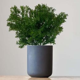 Decorative Flowers Simulation Parsley Greenery Green Leaves Bunch For Outdoor Office