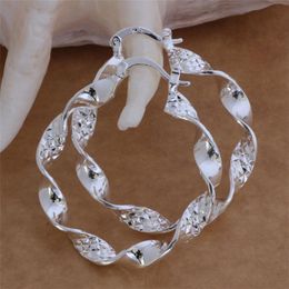 Fashion Jewellery Manufacturer 20 pcs a lot ing Greenland earrings 925 sterling silver Jewellery factory Fashion Shine Ea213q