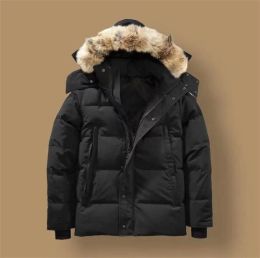 nuovo Canada Puffer Jackets Uomo Designer Vera pelliccia di coyote Outdoor Wyndham Giacca a vento Jassen Capispalla con cappuccio Fourrure Manteau Piumino Cappotto Hiver Parka Doudoune