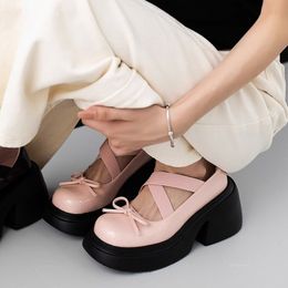 Dress Shoe Platform Marie Jane Shoes Pink Mid Heels Fashion Sandals loafer Summer Thick Pumps Casual y Women Lolita 230921