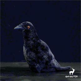 Plush Dolls Crow Anime Cute Raven Plushie Corvus Corax Plush Toys Lifelike Animals Simulation Stuffed Doll Kawai Toy Gifts Kid 230921